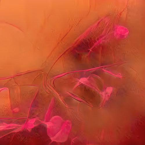 Chimerical Stories By Entangled Others Sofia Cresp