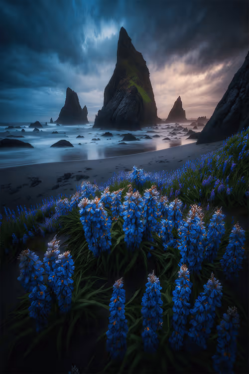 Item #22000314 Media