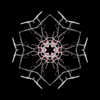 🎵 Decoy Sensitivities (guitar solo)
