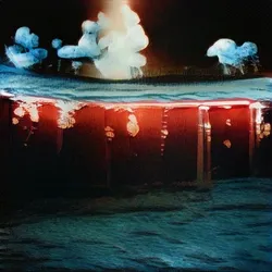 322-923 Phosphorescent Whispers Illuminating the Night