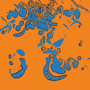Confluence #44