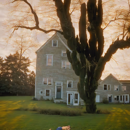 Life In West America By Roope Rainisto