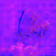 12000214