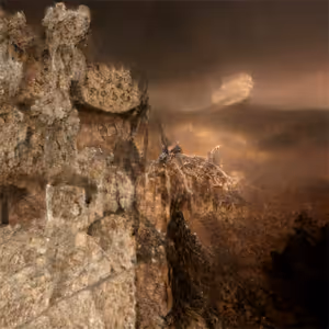 Genesis By Claire Silver