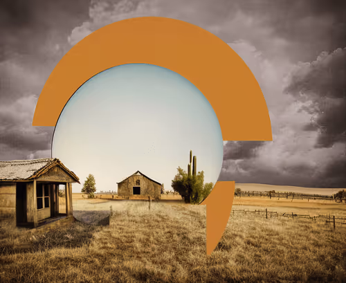 Item #23000411 Media