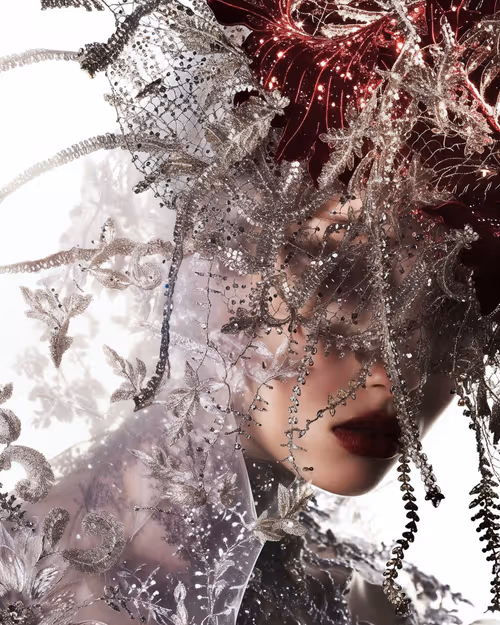 Item #30000337 Media