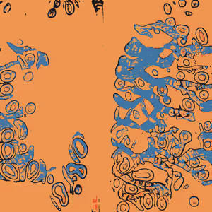Confluence #4