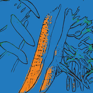 Confluence #682