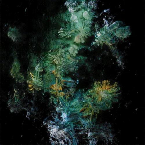 Item #24000054 Media