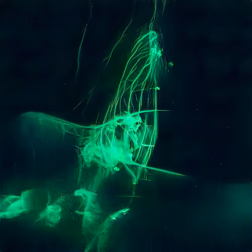 Item #12000367 Media