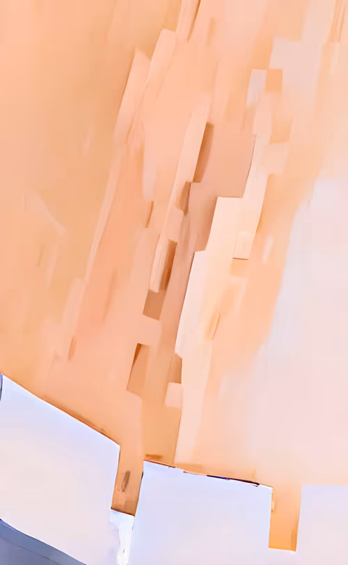 Item #10000308 Media