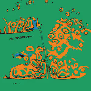 Confluence #41