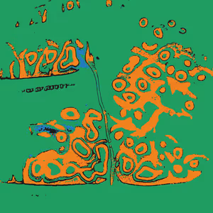 Confluence #41