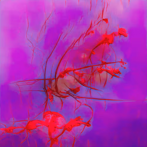 Chimerical Stories By Entangled Others Sofia Cresp