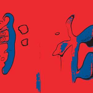 Confluence #36