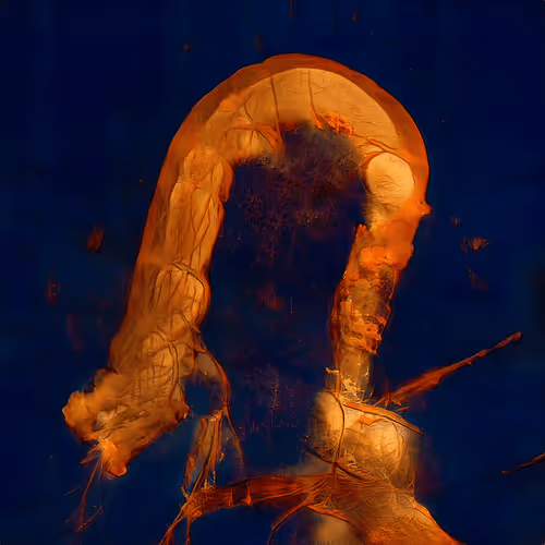 Item #12000432 Media