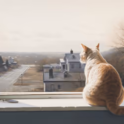 Views #500