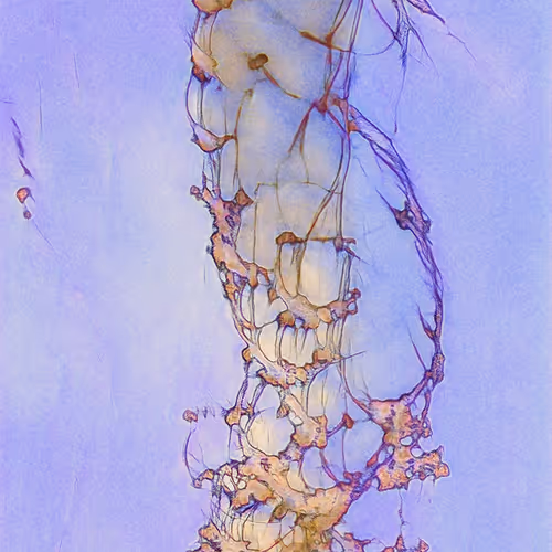 All Ai Art Looks The Same By Various Artists