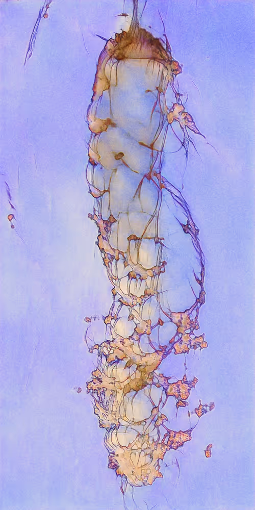 Item #16000079 Media