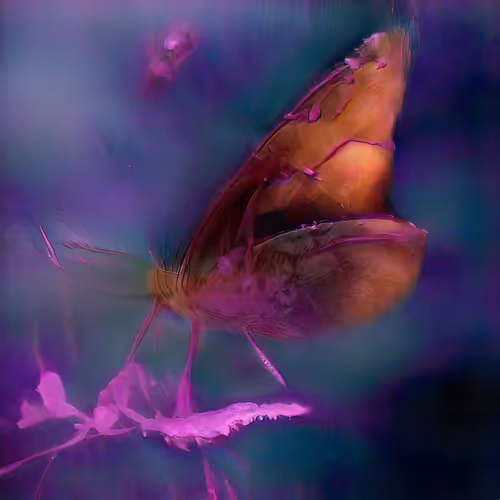 Item #12000111 Media