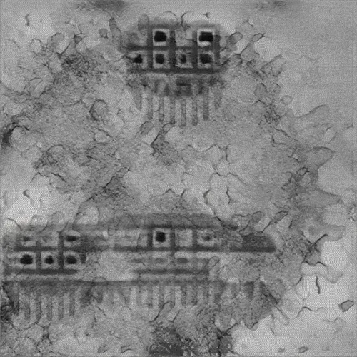 Item #16000072 Media