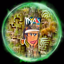 Forest Explorer