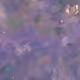 33000430