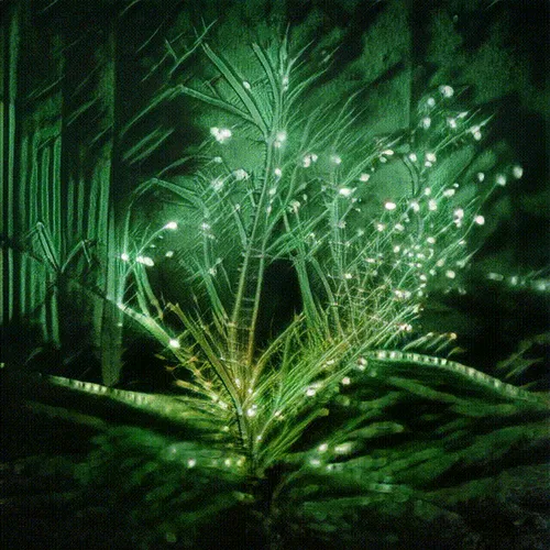 Item #24000328 Media