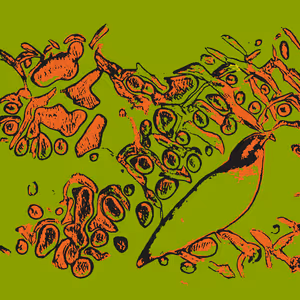 Confluence #21