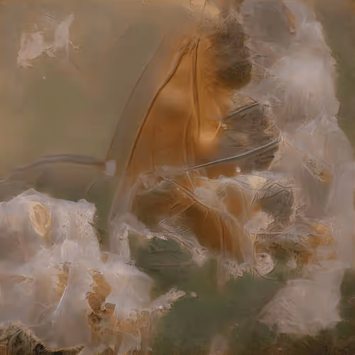 Chimerical Stories By Entangled Others Sofia Cresp