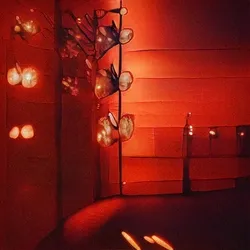 874-96 Enigmatic Flames of Ever-changing Beauty
