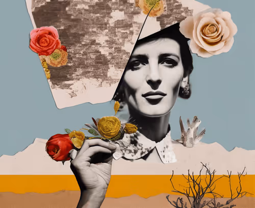 Item #23000029 Media