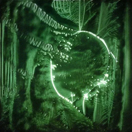 194-658 Harmonic Whispers Echo