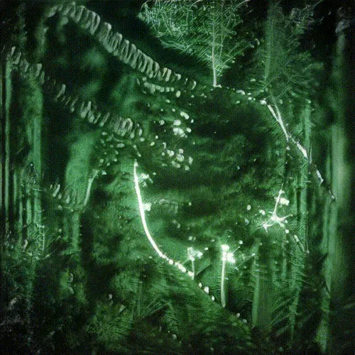 Item #24000416 Media