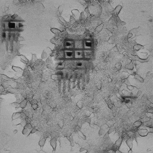 Item #16000090 Media