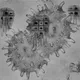microPod 1