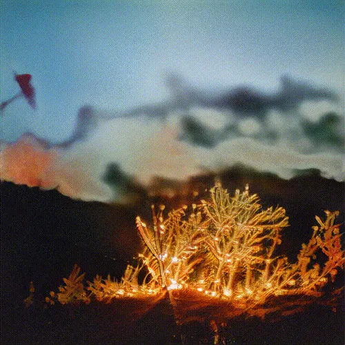 Item #24000254 Media