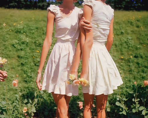 Item #16000077 Media