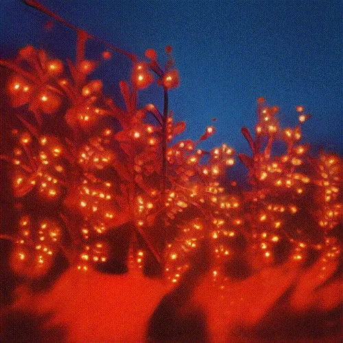 Item #24000124 Media