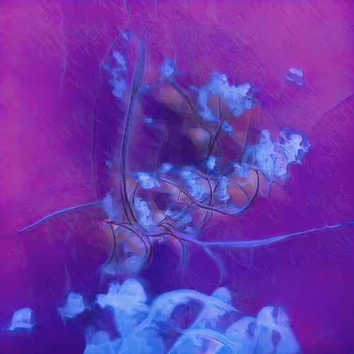 Item #12000260 Media