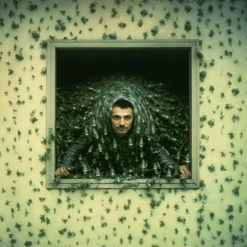 Item #34000482 Media