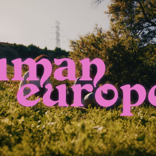 Chrysalis Accelerator