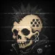 PUNK SKULLS COLLECTION ⚡💀
