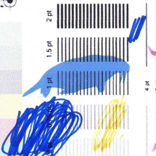 walrus
