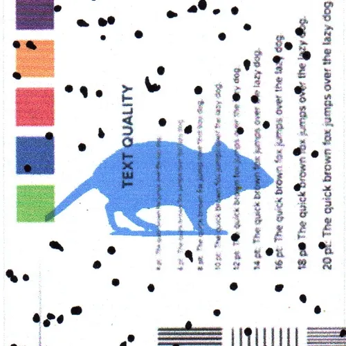 mouse