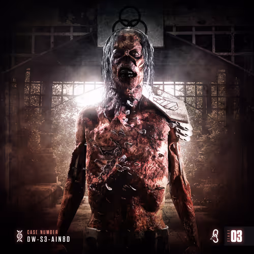 Stage 03: DW-S3-A1N8D