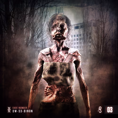 Stage 03: DW-S3-B1N9N