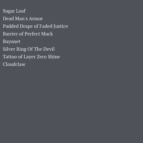 Raid Project
