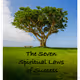 The Seven Spiritual Laws of Success | Cover by John Knopf