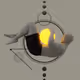 THE CATCH V4